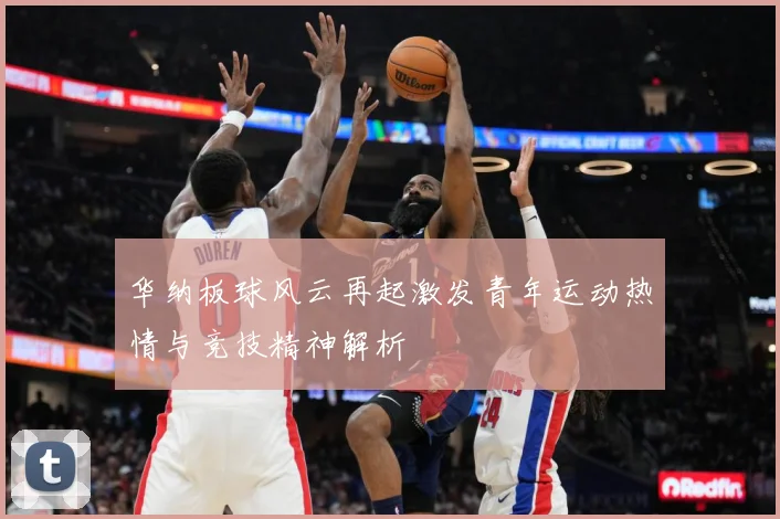 华纳板球风云再起激发青年运动热情与竞技精神解析
