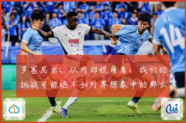 罗塞尼尔：从内部视角看，我们的挑战可能远不如外界想象中的那么巨大