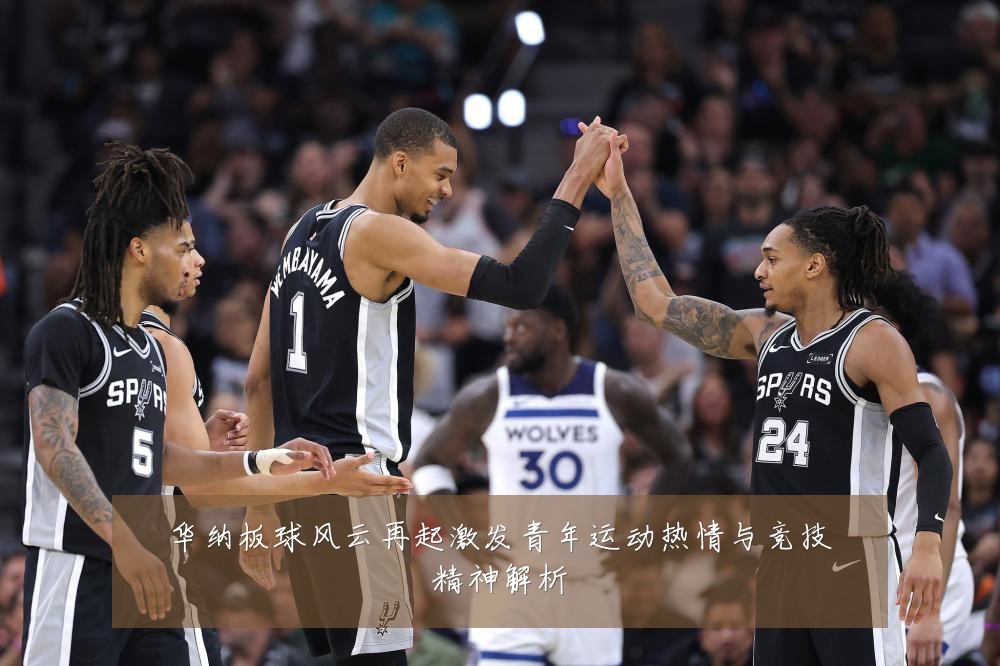 华纳板球风云再起激发青年运动热情与竞技精神解析
