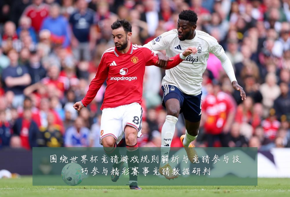 围绕世界杯竞猜游戏规则解析与竞猜参与技巧参与精彩赛事竞猜数据研判