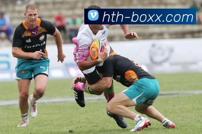 华体会官方网站引领体育数字化创新发展打造全球用户服务新体验平台