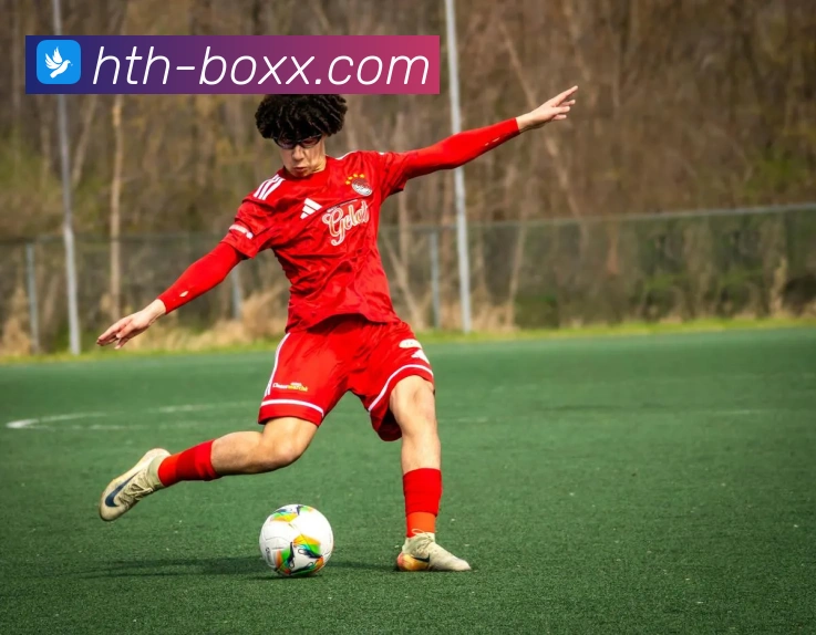 华体会官网全站App